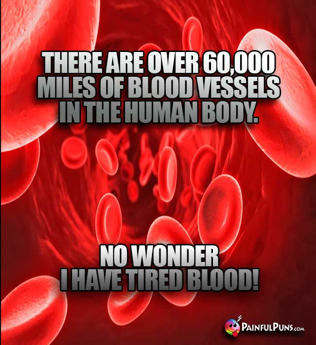 There are over 60,000 miles of blood vessels in the human body. No wonder I have tired blood!