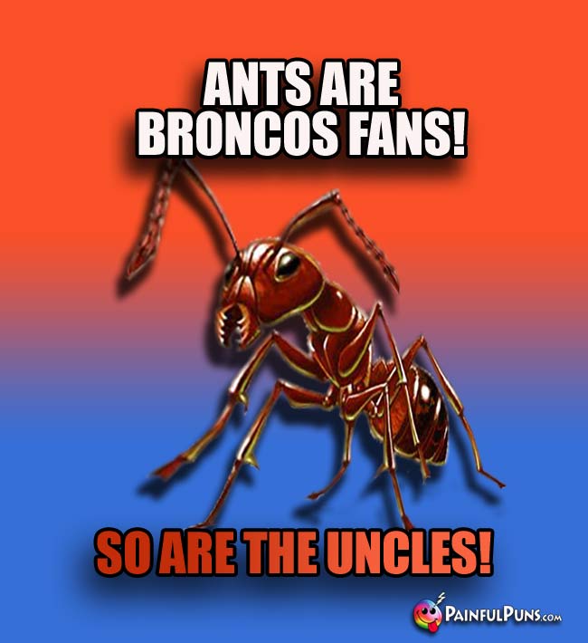 Ants Are Broncos Fans! So Are The Uncles!