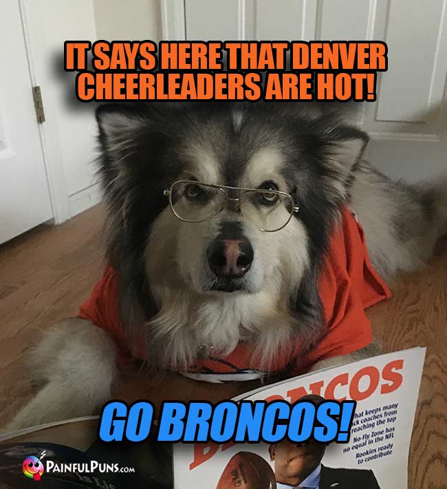 Reading dog says: It says here that Denver cheerleaders are hot! Go Broncos!