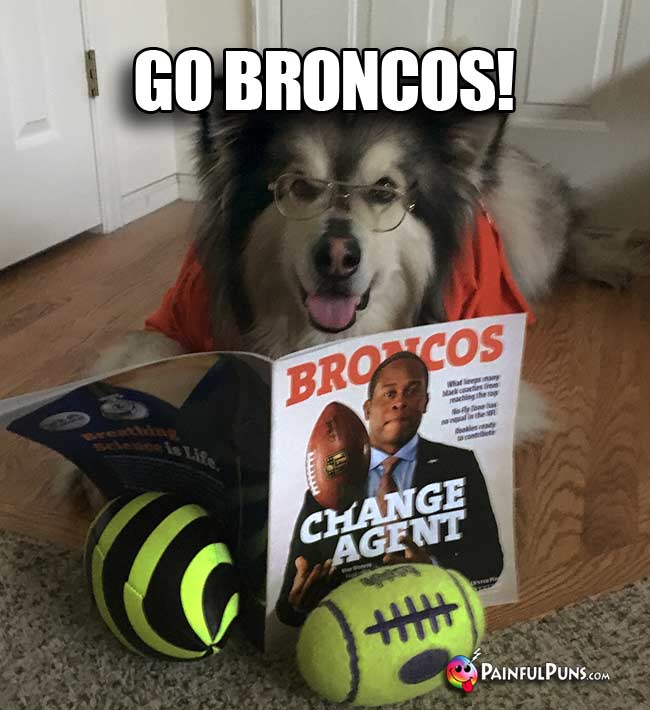 Denver Dog Fan Reading Team News Says: Go Broncos!