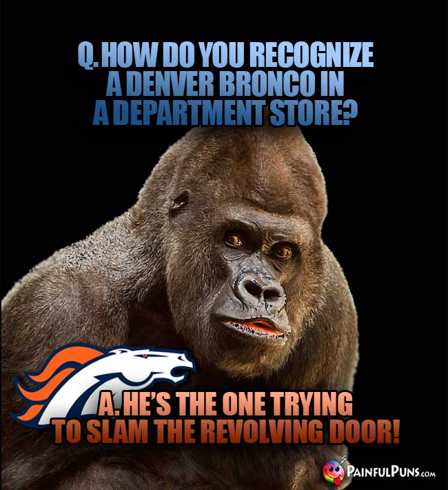Gorilla asks: How do you recognize a Denver Bronco in a dpartment store? A. He's the one trying to slam the revolving door!
