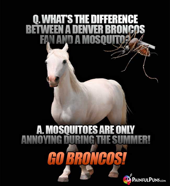 Q. What's the difference between a Denver Broncos fan and a mosquito? A. Mosquitos are only annoying during the summer! Go Broncos!