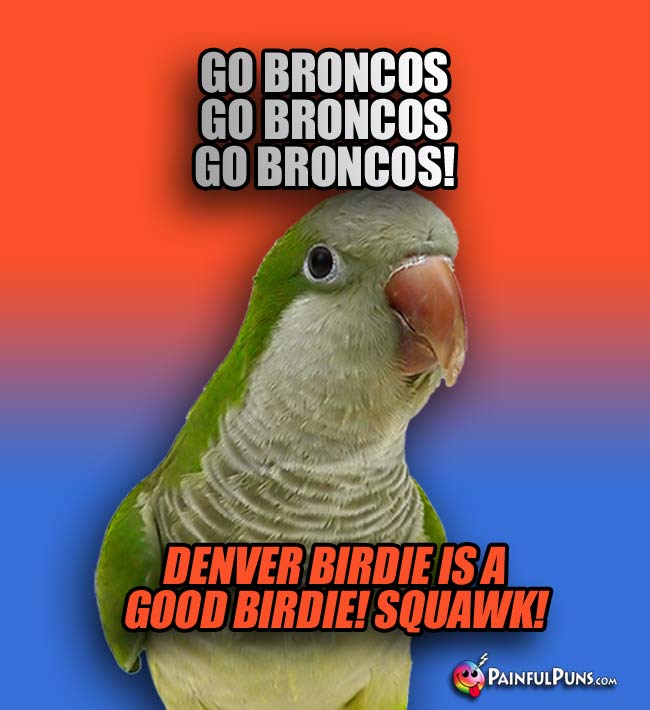 Quaker parrot says: Go Broncos. Go broncos. Bo Broncos! Denver Birdie is a good birdie! Squaek!
