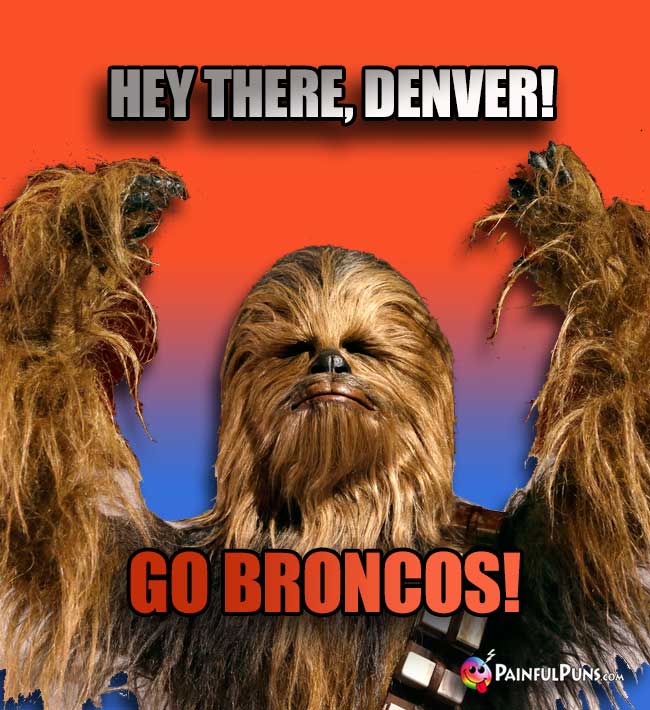 Wookie says: Hey there, Denver! Go Broncos!