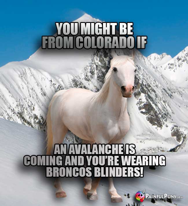 Horse says: You might be from Colorado if an avalance is coming and you're wearing Broncos blinders!