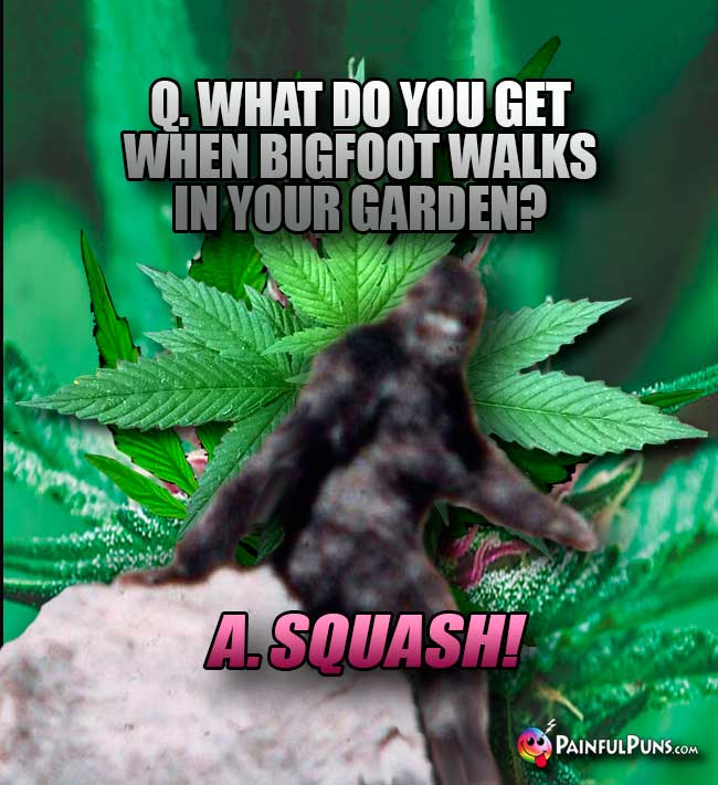 Q. What do you get when Bigfoot walks in your garden? A. Squash!