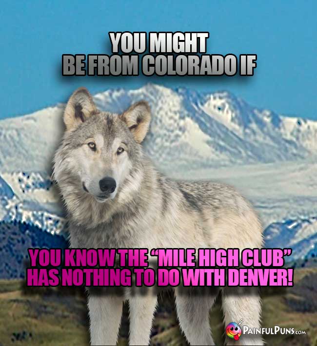 Wolf says: You might be from Colorado if you know the "Mile High Club" has nothing to do with Denver!