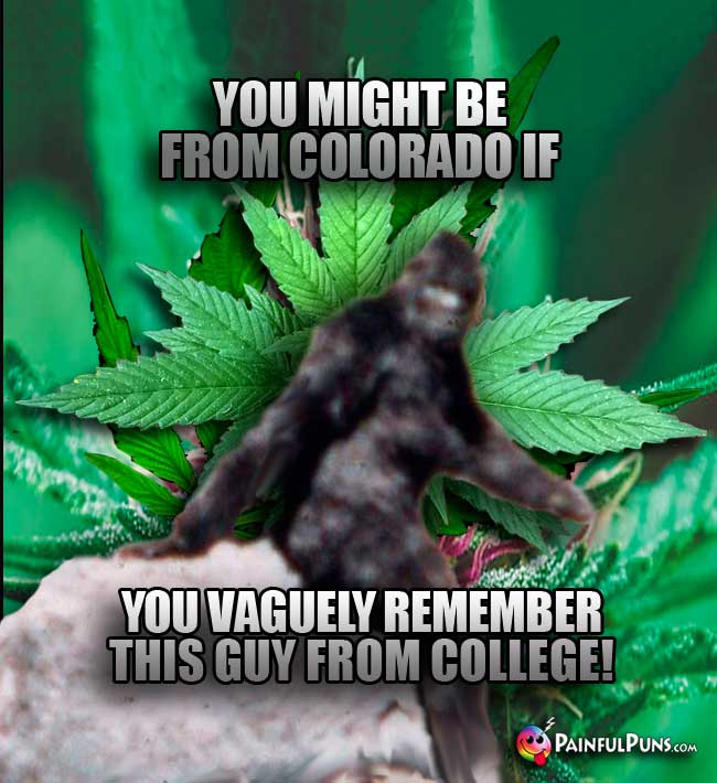 You might be from Colorado if you vaguely remember this guy from college!