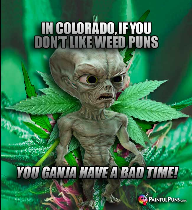 Alien says: In Colorado, if you don't like weed puns, you ganja have a bad time!
