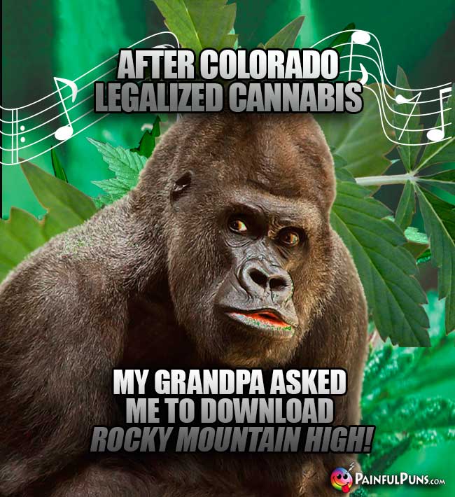 After Colorado legalized cannabis, my grandpa asked me to download Rocky Mountain High!