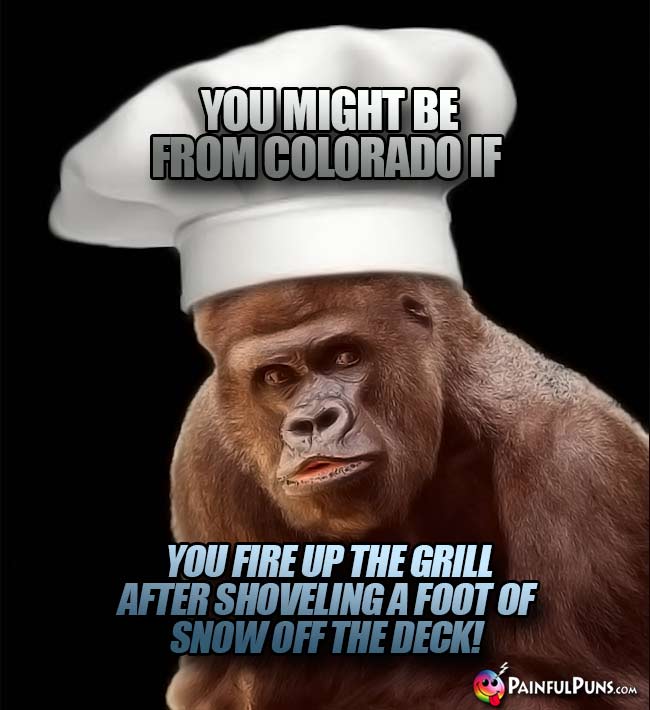 Ape chef says: You might be from Colorado if you fire up the grill after shoveling a foot of snow off the deck!