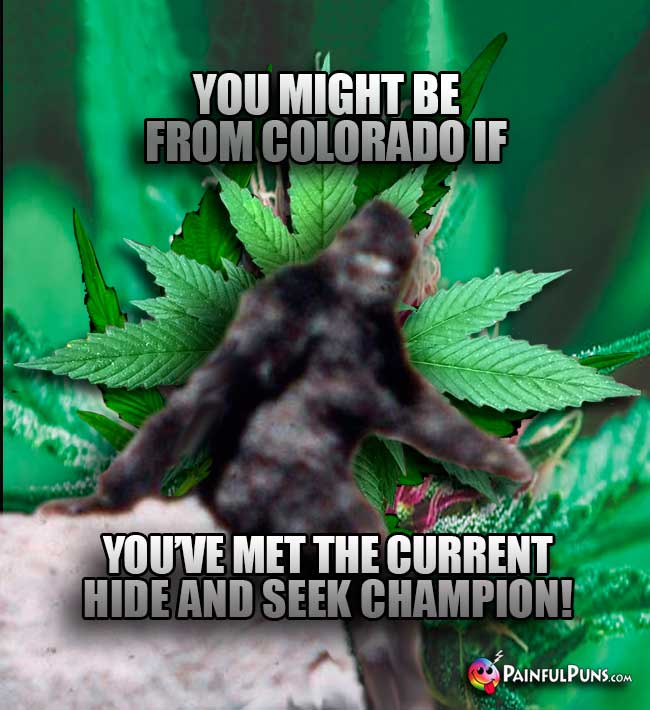 Bigfoot says: You might be from Colorado if you've met the current hide and seek champion!