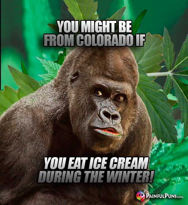 You might be from Colorado if you eat ice cream during the winter!