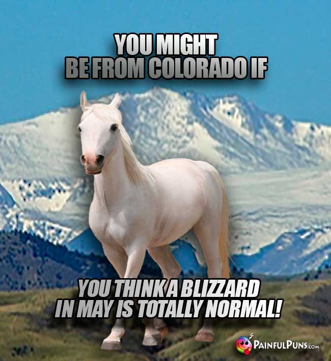 You might be from Colorado if you think a blizzard in May is totally normal!