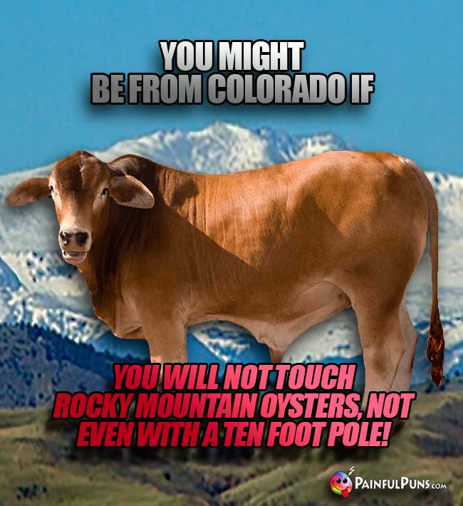 You might from Colorado if you will not touch Rocky Mountain Oysters, not even with a ten foot pole!