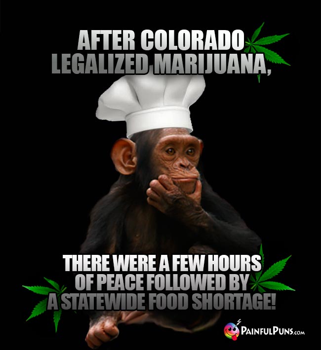 Chimp chef says: After Colorado legalized marijuana, there were a few hours of peace followed by a statewide food shortage!