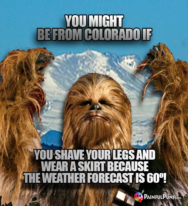 Wookie says: You might be from Colorado if you shave your leg and wear a skirt because the weather forecast is 60!