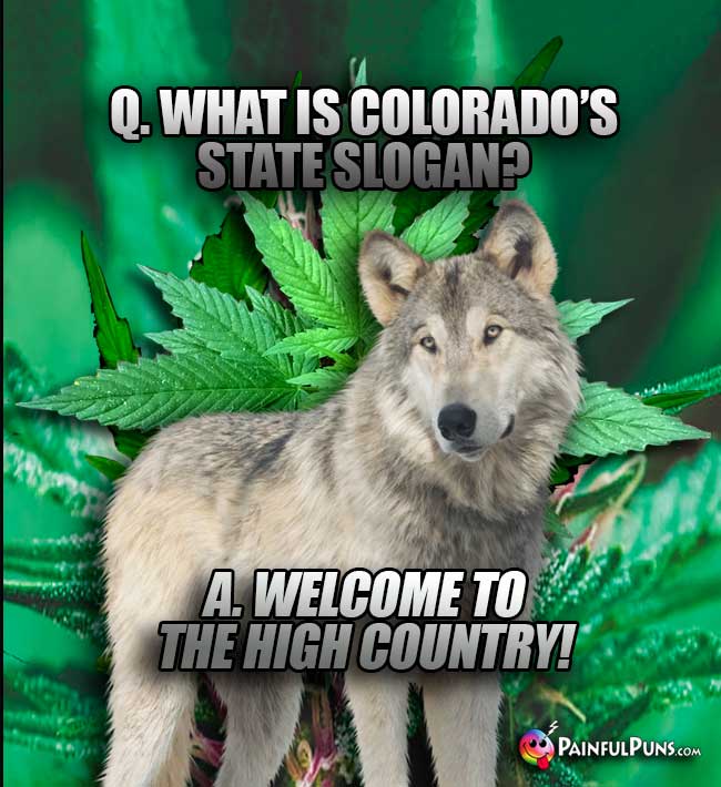 Wolf asks: What is Colorado's state slogan? A. Welcom to the high country!