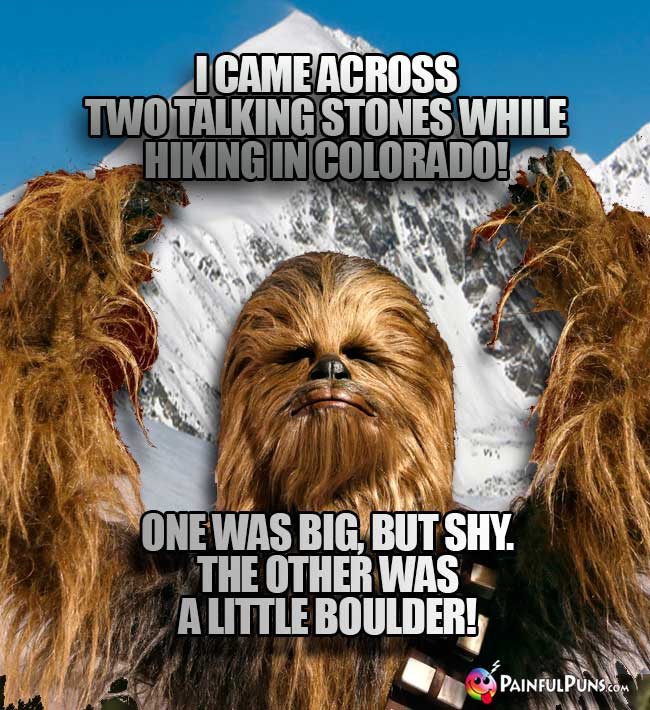 Wookie says: I came across two talking stones while hiking in Colorado! One was big, but shy. The other was a little Boulder!