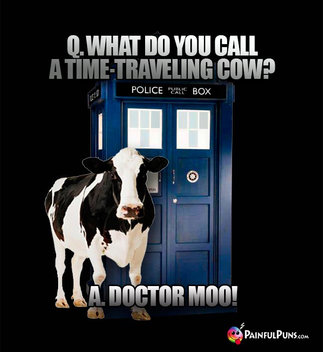 Q. What do you call a time-traveling cow? A. Doctor Moo!