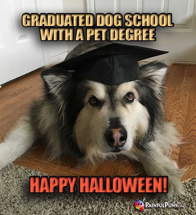 Good Boy Says: Graduated Dog School With a Pet Degree. Happy Halloween!