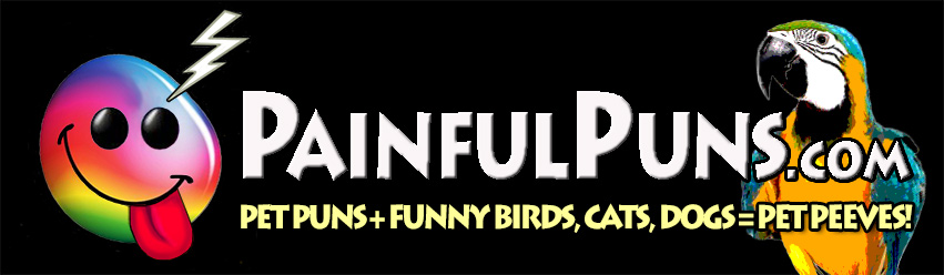 PainfulPuns.com - Pet Puns + Funny Birds, Cats, Dogs = Pet Peeves