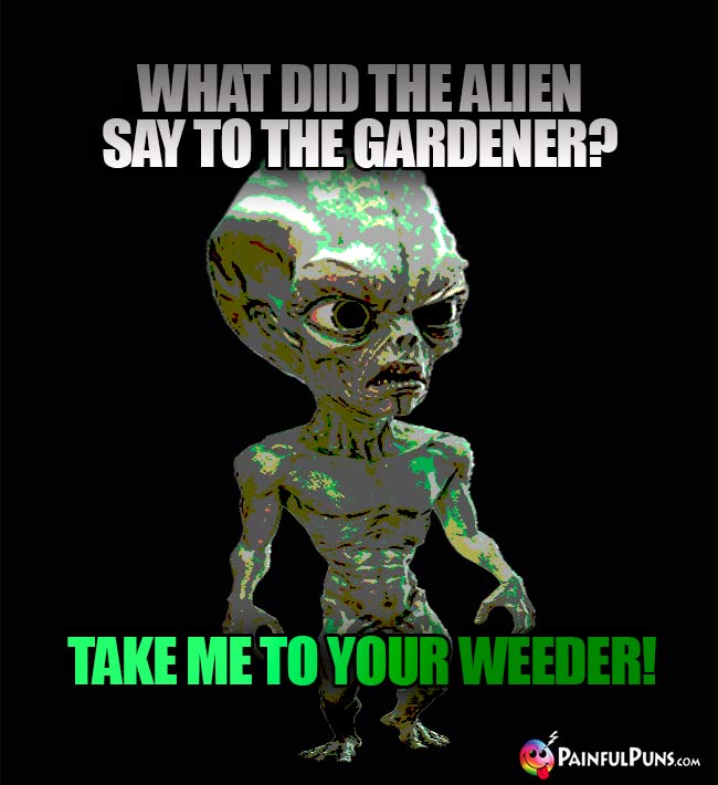 What did the alien say to the gardener? Take me to your weeder!
