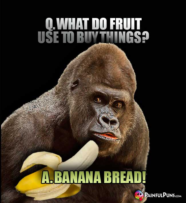 Gorilla Telling Banana Jokes: What do fruit use to buy things? A. Banana Bread!
