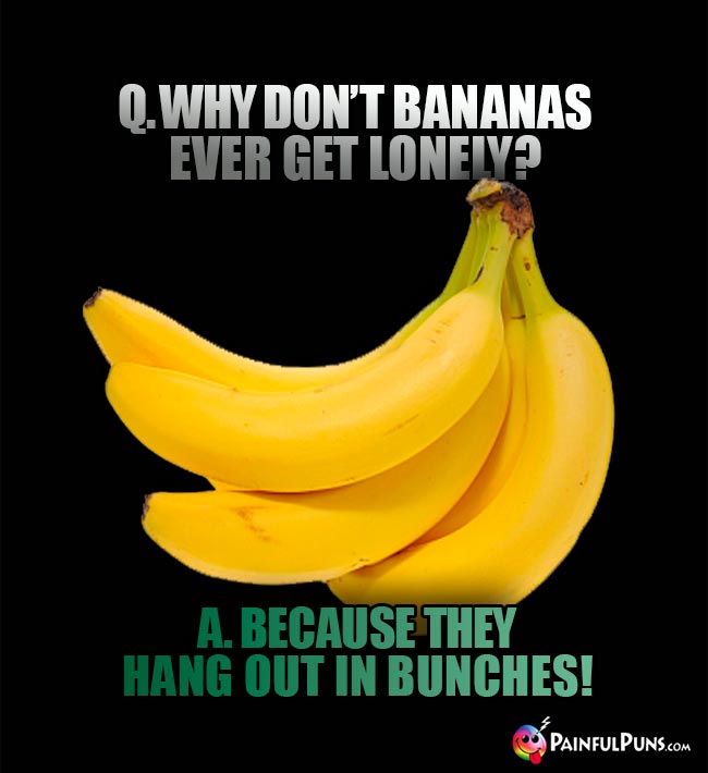Q. Why don't bananas ever get lonely? A. Because they hang out in bunches!