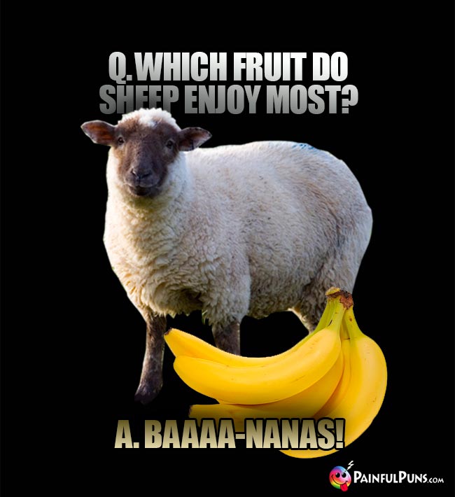 Q. Which fruit do sheep enjoy most? A. Baaaa-nanas!