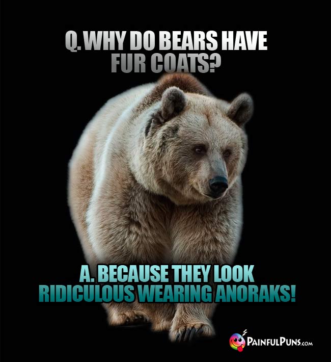 Q. Why do bears have fur coats? A. because they look ridiculous wearing anoraks!