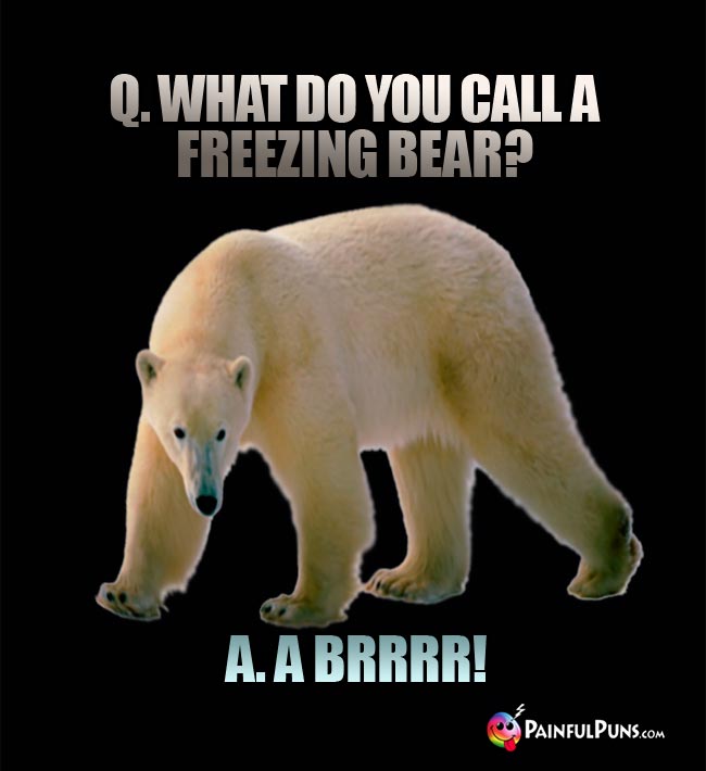 q. What do you call a freezing bear? A. A bRRR!