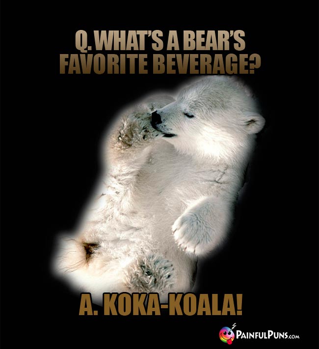 Q. what's a bear's favorite beverage? A. Koka-Koala!