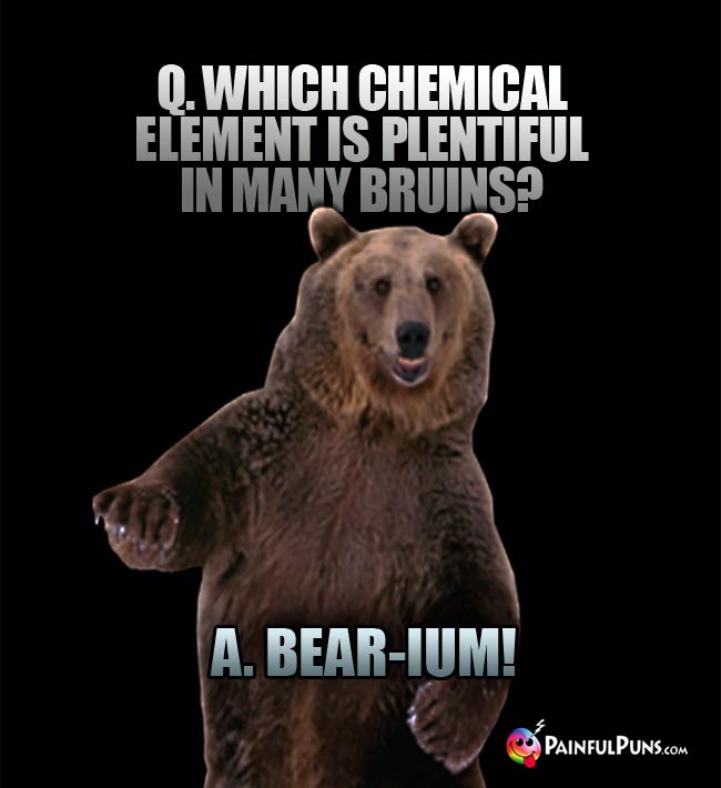 Q. Which chemical element is plentiful in many bruins? A. Bear-ium!