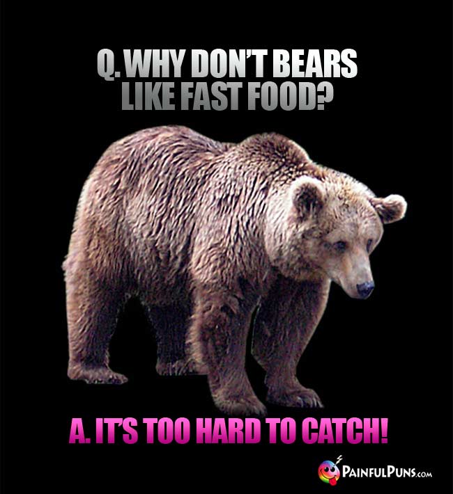 Q. why don't bears like fast food? A. It's too hard to catch!