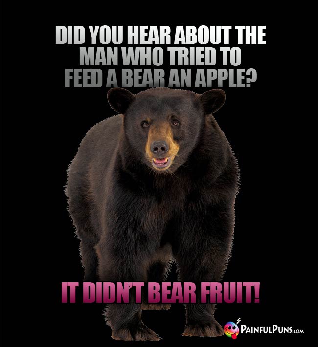 Did you hear about the man who tried to feed a bear an apple? It didn't bear fruit!
