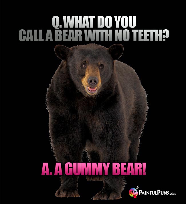 Q. What do you all a bear with no teeth? A. A gummy bear!