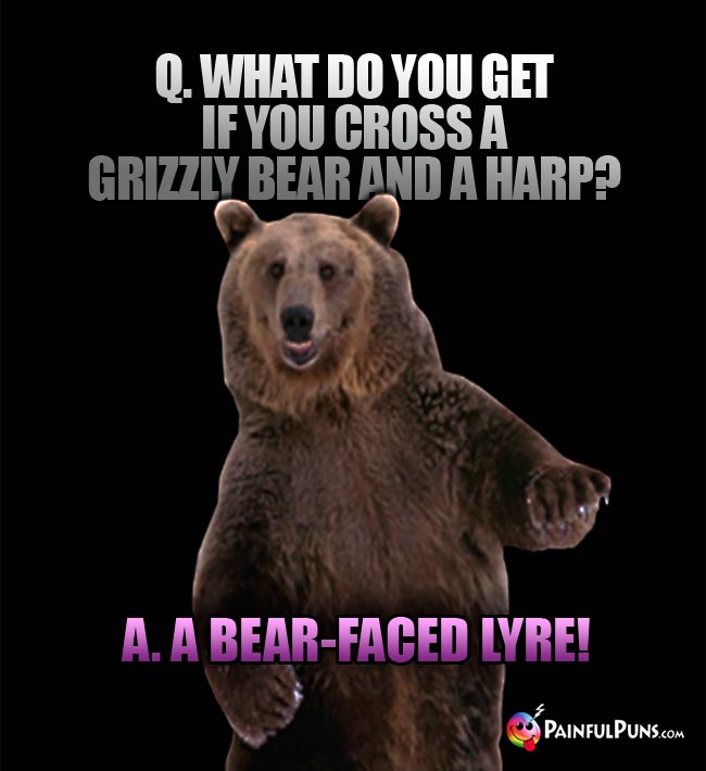 Q. What do you get if you cross a grizzly bear and a harp? A. A bear-faced lyre!