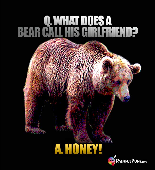 Q. What does a bear call his girlfriend? A. Honey!