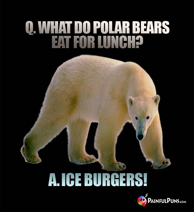 Q. What do polar bears eat for lunch? A. Ice burgers!