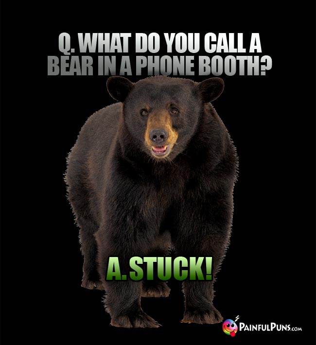 Q. What do you call a bear in a phone booth? A. Stuck!