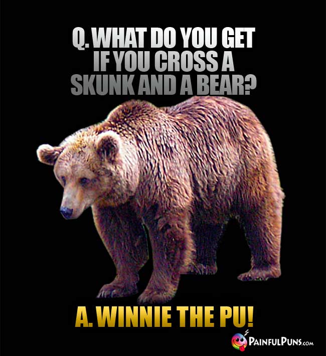 Q. What do you get if you cross a skunk and a bear? A. Winnie The Pu!