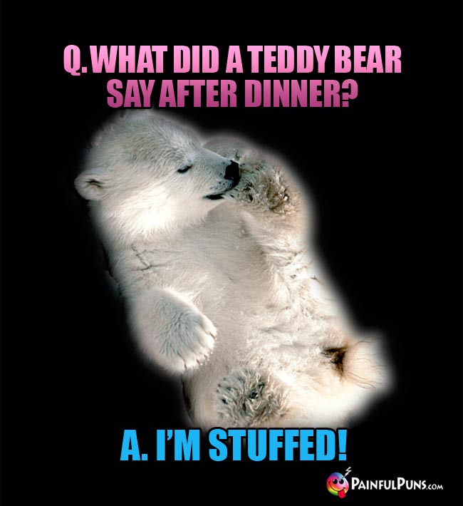 Q. What did a Teddy bear say after dinner? A. I'm stuffed!