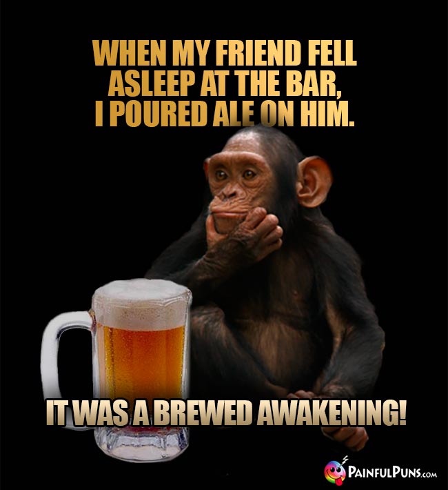 Beer-drinking chimps says: When my friend fell asleep at the bar, I poured ale on him. It was a brewed awakening!