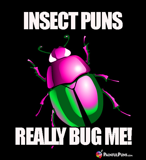 Insect Puns Really Bug Me!