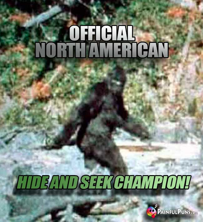Bigfoot: Official North Amerian Hide and Seek Champion!