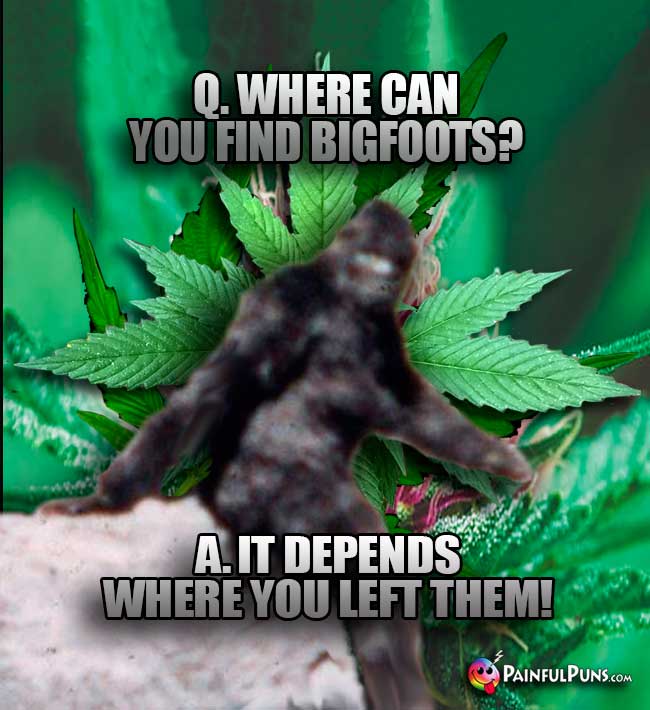 Q. Where can you find bigfoots? A. It depends where you left them!
