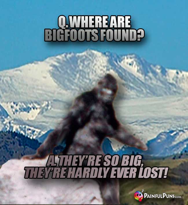 Q. Where are bigfoots found? A. they're so big, they're hardly ever lost!