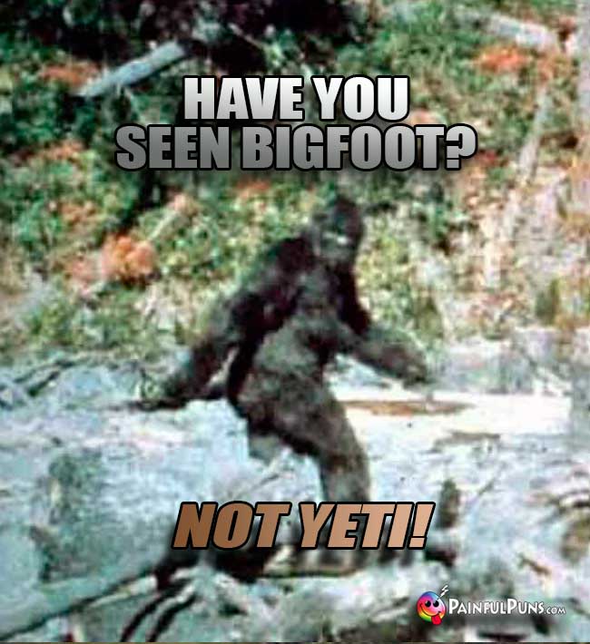 Q. Have you seen Bigfoot? A. Not Yeti!