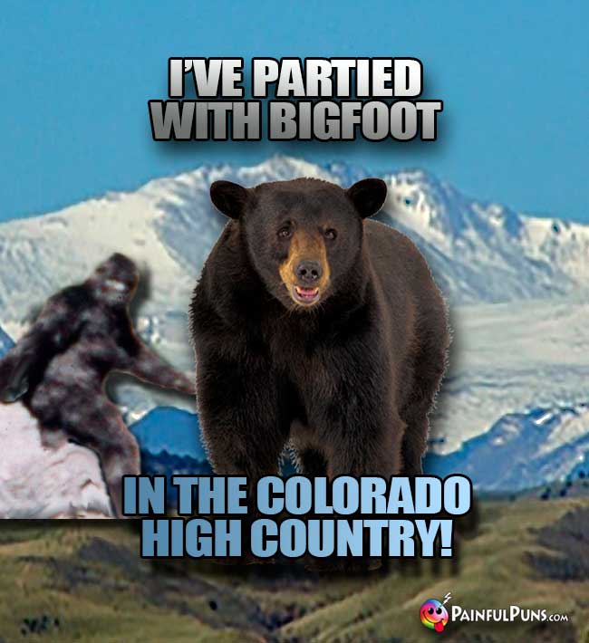 Bear says: I've partied with Bigfoot in the Colorado high country!